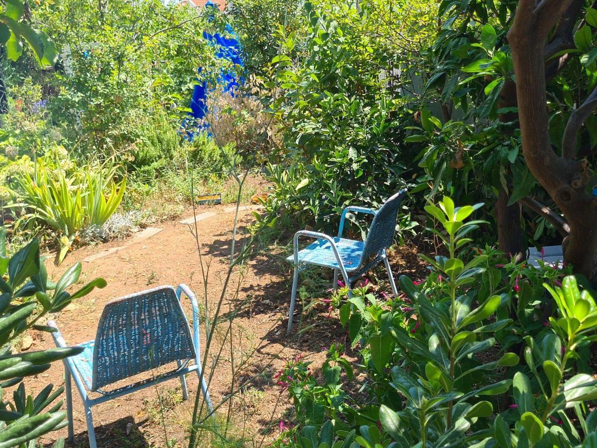 Studio Apartment Garden Дубровник Екстер'єр фото